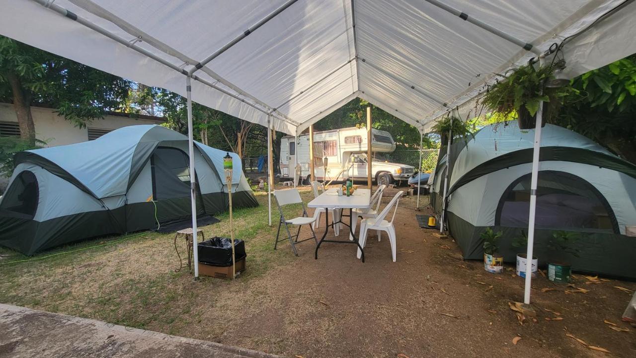 5 Minutes Walk Bio-Bay Stations-Restaurants - Beaches 212 Cll Acacia Rv Camper In Front Vieques Dış mekan fotoğraf